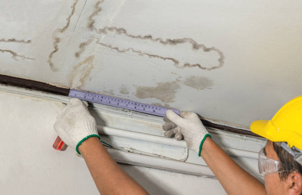 Reliable Water Damage contractor in Omak, WA by Water Damage Irwin